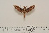  ( - BC-Hax4551)  @13 [ ] Copyright (2010) Unspecified Research Collection of Jean Haxaire