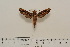  ( - BC-Hax4553)  @13 [ ] Copyright (2010) Unspecified Research Collection of Jean Haxaire
