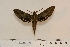  ( - BC-Hax4587)  @13 [ ] Copyright (2010) Unspecified Research Collection of Jean Haxaire