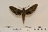  ( - BC-Hax4587)  @13 [ ] Copyright (2010) Unspecified Research Collection of Jean Haxaire