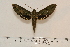  ( - BC-Hax4591)  @13 [ ] Copyright (2010) Unspecified Research Collection of Jean Haxaire