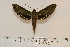  ( - BC-Hax4591)  @13 [ ] Copyright (2010) Unspecified Research Collection of Jean Haxaire