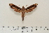  ( - BC-Hax4605)  @13 [ ] Copyright (2010) Unspecified Research Collection of Jean Haxaire