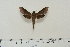  ( - BC-Hax4606)  @12 [ ] Copyright (2010) Unspecified Research Collection of Jean Haxaire