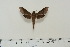  ( - BC-Hax4606)  @12 [ ] Copyright (2010) Unspecified Research Collection of Jean Haxaire