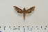  ( - BC-Hax4609)  @14 [ ] Copyright (2010) Unspecified Research Collection of Jean Haxaire