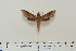  ( - BC-Hax4609)  @14 [ ] Copyright (2010) Unspecified Research Collection of Jean Haxaire