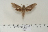  ( - BC-Hax4612)  @14 [ ] Copyright (2010) Unspecified Research Collection of Jean Haxaire