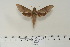  ( - BC-Hax4612)  @14 [ ] Copyright (2010) Unspecified Research Collection of Jean Haxaire