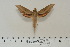  ( - BC-Hax4623)  @14 [ ] Copyright (2010) Unspecified Research Collection of Jean Haxaire