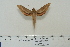  ( - BC-Hax4624)  @14 [ ] Copyright (2010) Unspecified Research Collection of Jean Haxaire