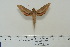  ( - BC-Hax4624)  @14 [ ] Copyright (2010) Unspecified Research Collection of Jean Haxaire