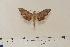  ( - BC-Hax4659)  @12 [ ] Copyright (2010) Unspecified Research Collection of Jean Haxaire