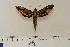  ( - BC-Hax4660)  @12 [ ] Copyright (2010) Unspecified Research Collection of Jean Haxaire