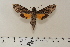  ( - BC-Hax4667)  @13 [ ] Copyright (2010) Unspecified Research Collection of Jean Haxaire