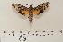  ( - BC-Hax4668)  @13 [ ] Copyright (2010) Unspecified Research Collection of Jean Haxaire
