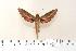  ( - BC-Hax4323)  @14 [ ] Copyright (2010) Unspecified Research Collection of Jean Haxaire