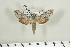  ( - BC-Hax4956)  @12 [ ] Copyright (2012) Jean Haxaire Research Collection of Jean Haxaire