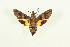  ( - BC-Hax4965)  @11 [ ] Copyright (2012) Jean Haxaire Research Collection of Jean Haxaire