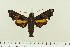 ( - BC-Hax4974)  @14 [ ] Copyright (2012) Jean Haxaire Research Collection of Jean Haxaire