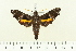 ( - BC-Hax4975)  @14 [ ] Copyright (2012) Jean Haxaire Research Collection of Jean Haxaire