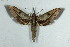  ( - BC-Hax5003)  @13 [ ] Copyright (2012) Jean Haxaire Research Collection of Jean Haxaire