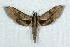  ( - BC-Hax5008)  @13 [ ] Copyright (2012) Jean Haxaire Research Collection of Jean Haxaire