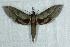  ( - BC-Hax5009)  @13 [ ] Copyright (2012) Jean Haxaire Research Collection of Jean Haxaire