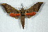  ( - BC-Hax5023)  @13 [ ] Copyright (2012) Jean Haxaire Research Collection of Jean Haxaire