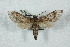  ( - BC-Hax5036)  @12 [ ] Copyright (2012) Jean Haxaire Research Collection of Jean Haxaire