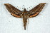  ( - BC-Hax5037)  @14 [ ] Copyright (2012) Jean Haxaire Research Collection of Jean Haxaire
