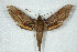  ( - BC-Hax5038)  @14 [ ] Copyright (2012) Jean Haxaire Research Collection of Jean Haxaire