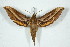  ( - BC-Hax5042)  @14 [ ] Copyright (2012) Jean Haxaire Research Collection of Jean Haxaire