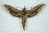  ( - BC-Hax5044)  @14 [ ] Copyright (2012) Jean Haxaire Research Collection of Jean Haxaire