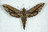  ( - BC-Hax5045)  @14 [ ] Copyright (2012) Jean Haxaire Research Collection of Jean Haxaire