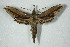  ( - BC-Hax5048)  @14 [ ] Copyright (2012) Jean Haxaire Research Collection of Jean Haxaire