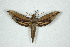  ( - BC-Hax5053)  @13 [ ] Copyright (2012) Jean Haxaire Research Collection of Jean Haxaire