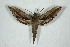  ( - BC-Hax5054)  @13 [ ] Copyright (2012) Jean Haxaire Research Collection of Jean Haxaire