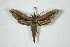  ( - BC-Hax5055)  @13 [ ] Copyright (2012) Jean Haxaire Research Collection of Jean Haxaire