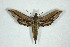  ( - BC-Hax5057)  @13 [ ] Copyright (2012) Jean Haxaire Research Collection of Jean Haxaire