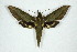  ( - BC-Hax5062)  @14 [ ] Copyright (2012) Jean Haxaire Research Collection of Jean Haxaire