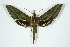  ( - BC-Hax5064)  @14 [ ] Copyright (2012) Jean Haxaire Research Collection of Jean Haxaire