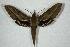  ( - BC-Hax5066)  @13 [ ] Copyright (2012) Jean Haxaire Research Collection of Jean Haxaire