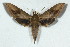  ( - BC-Hax5073)  @13 [ ] Copyright (2012) Jean Haxaire Research Collection of Jean Haxaire
