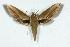  ( - BC-Hax5083)  @13 [ ] Copyright (2012) Jean Haxaire Research Collection of Jean Haxaire
