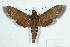  ( - BC-Hax5122)  @14 [ ] Copyright (2012) Jean Haxaire Research Collection of Jean Haxaire