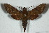  ( - BC-Hax5124)  @13 [ ] Copyright (2012) Jean Haxaire Research Collection of Jean Haxaire