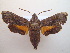  ( - BC-Hax5142)  @11 [ ] Unspecified (default): All Rights Reserved  Unspecified Unspecified