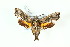 ( - BC-Hax5143)  @11 [ ] Unspecified (default): All Rights Reserved  Unspecified Unspecified