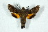  ( - BC-Hax5151)  @11 [ ] Unspecified (default): All Rights Reserved  Unspecified Unspecified